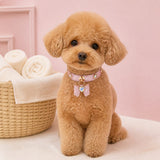 Rose Stardust Dog Collar with Bow and Iridescent Heart Crystal