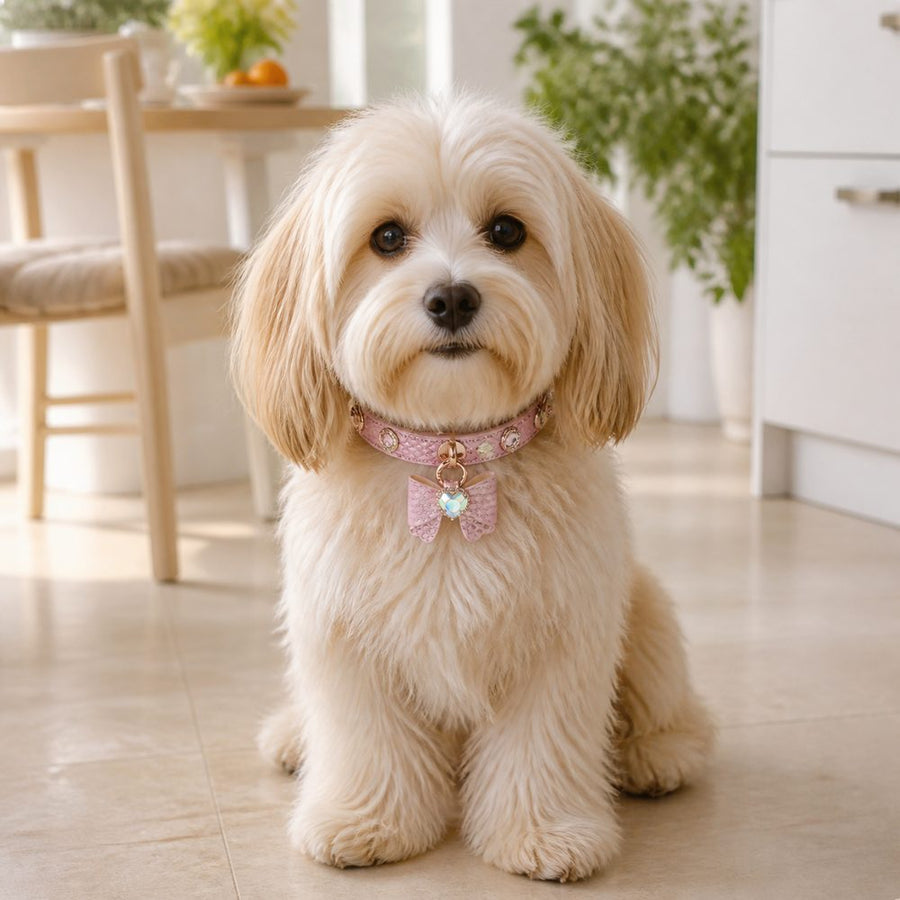 Rose Stardust Dog Collar with Bow and Iridescent Heart Crystal