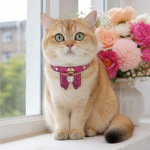 Fuchsia Butterfly Cat Collar with Sparkling Crystal Heart