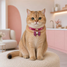 Fuchsia Butterfly Cat Collar with Sparkling Crystal Heart