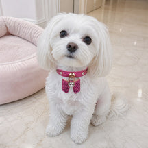 Fuchsia Sparkle Dog Collar with Bow and Crystal Heart
