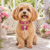 Fuchsia Sparkle Dog Collar with Bow and Crystal Heart