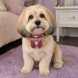 Fuchsia Sparkle Dog Collar with Bow and Crystal Heart