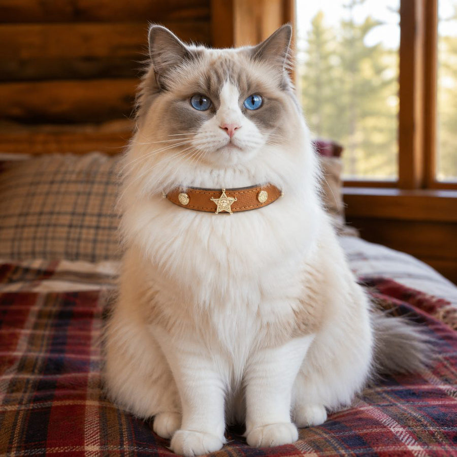 Caramel Star Cat Collar with Vintage Gold Guardian Emblem
