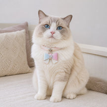 Aurora Butterfly Cat Collar with Pastel Scales and Crystal Bloom