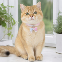 Aurora Butterfly Cat Collar with Pastel Scales and Crystal Bloom