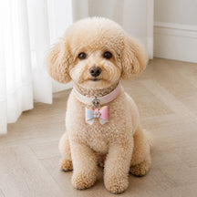 Pastel Aurora Dog Collar with Iridescent Bow and Crystal Flower