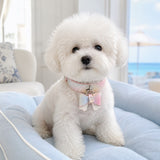Pastel Aurora Dog Collar with Iridescent Bow and Crystal Flower