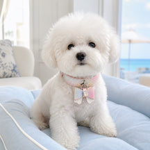Pastel Aurora Dog Collar with Iridescent Bow and Crystal Flower
