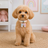 Pastel Aurora Dog Collar with Iridescent Bow and Crystal Flower