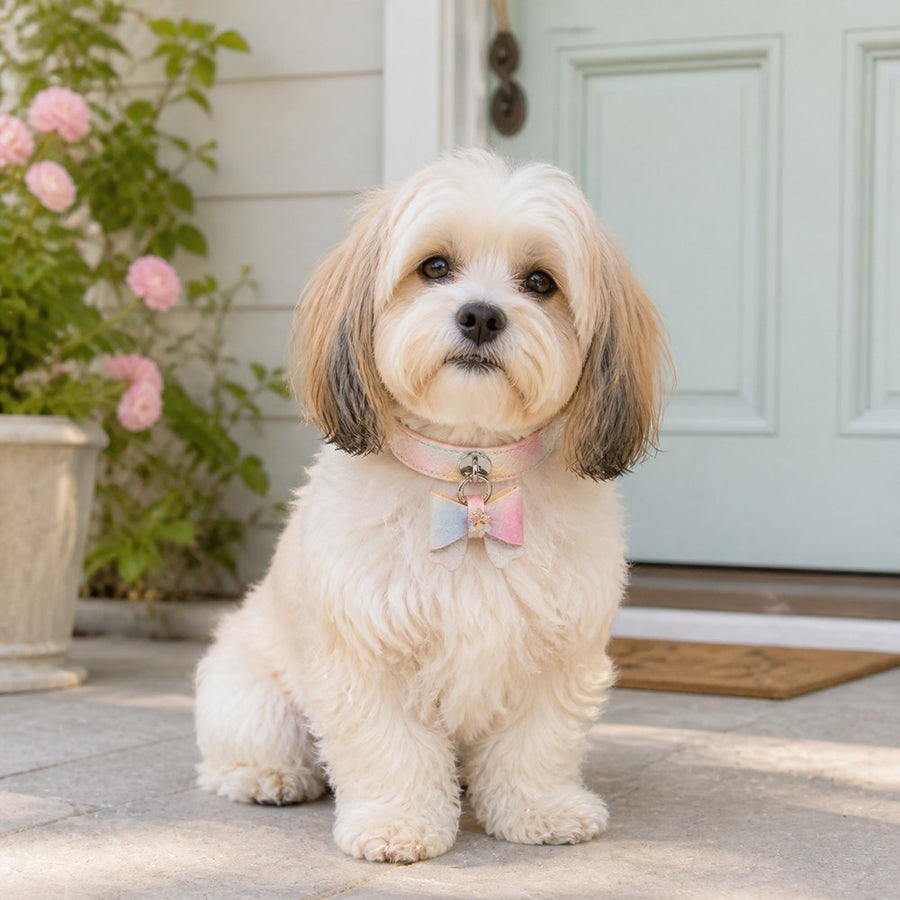 Pastel Aurora Dog Collar with Iridescent Bow and Crystal Flower