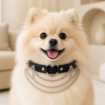 Midnight Heart Dog Collar with Silver Spikes and Layered Chains