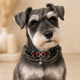 Crimson Wing Dog Collar with Heritage Emblem and Silver Chains