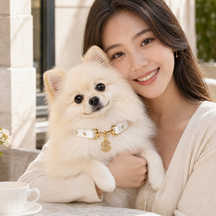 Golden Fortune White Dog Collar with Crystal Dollar Charm