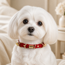 Crimson Link Dog Collar with Layered Gold Rings