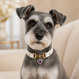 Amethyst Heart White Dog Collar with Gold-Tone Hardware and Pearl Halo Charm