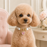 Pearl Heart White Dog Collar with Pink Crystal Charm