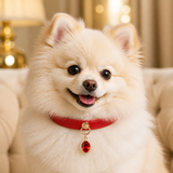 Crimson Jewel Dog Collar with Oval Crystal Pendant