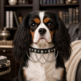 Steelstorm Dog Collar with Spikes and Layered Chains