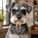 Black-Tie Dog Collar with Gold Bow Detail