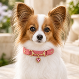 Rose Heart Dog Collar with Gold-Tone Bit and Crystal Charm