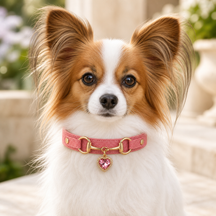 Rose Heart Dog Collar with Gold-Tone Bit and Crystal Charm