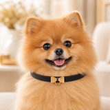 Black-Tie Dog Collar with Gold Bow Detail