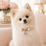 Pearl Heart White Dog Collar with Pink Crystal Charm