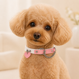 Peach Heart Dog Collar with Pink-and-White Design and Silver Chain