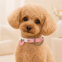 Peach Heart Dog Collar with Pink-and-White Design and Silver Chain