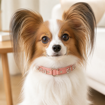 Sparkling “GOOD GIRL” Pink Dog Collar with Rhinestone Letters