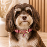Rose Heart Dog Collar with Gold-Tone Bit and Crystal Charm