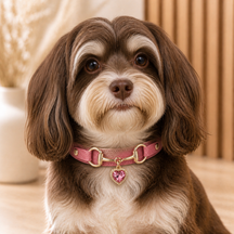 Rose Heart Dog Collar with Gold-Tone Bit and Crystal Charm