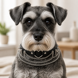 Midnight Heart Dog Collar with Silver Spikes and Layered Chains