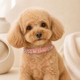 Sparkling “GOOD GIRL” Pink Dog Collar with Rhinestone Letters