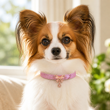 Flutter Glow Pink Dog Collar with Rose-Gold Butterfly Charm