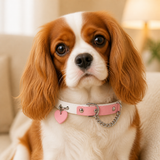 Peach Heart Dog Collar with Pink-and-White Design and Silver Chain