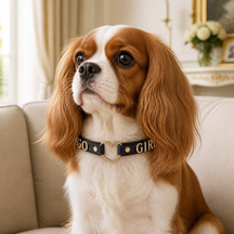 Golden Heart “GOOD GIRL” Dog Collar
