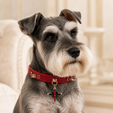 Crimson Flame Dog Collar with Gold Spikes and Jeweled Cross Charm