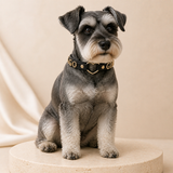 Golden Heart “GOOD GIRL” Dog Collar