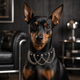 Steelstorm Dog Collar with Spikes and Layered Chains