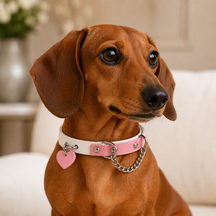 Peach Heart Dog Collar with Pink-and-White Design and Silver Chain