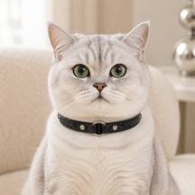 Shadow Scale Cat Collar with Minimal Silver Ring