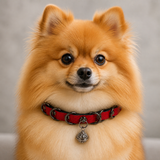 Crimson Edge Dog Collar with Black Rings and Filigree Bell
