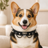 Obsidian Heart-Lock Dog Collar with Silver Spikes and Double Chains