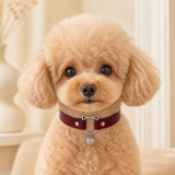 Burgundy Playful-Ear Dog Collar with Filigree Charm