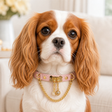 Peach Bone Dog Collar with Gold-Tone Clasp and Draped Chain