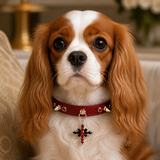 Crimson Flame Dog Collar with Gold Spikes and Jeweled Cross Charm