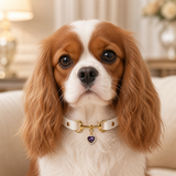 Amethyst Heart White Dog Collar with Gold-Tone Hardware and Pearl Halo Charm