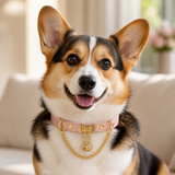 Peach Bone Dog Collar with Gold-Tone Clasp and Draped Chain